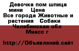 Девочка пом шпица мини  › Цена ­ 30 000 - Все города Животные и растения » Собаки   . Челябинская обл.,Миасс г.